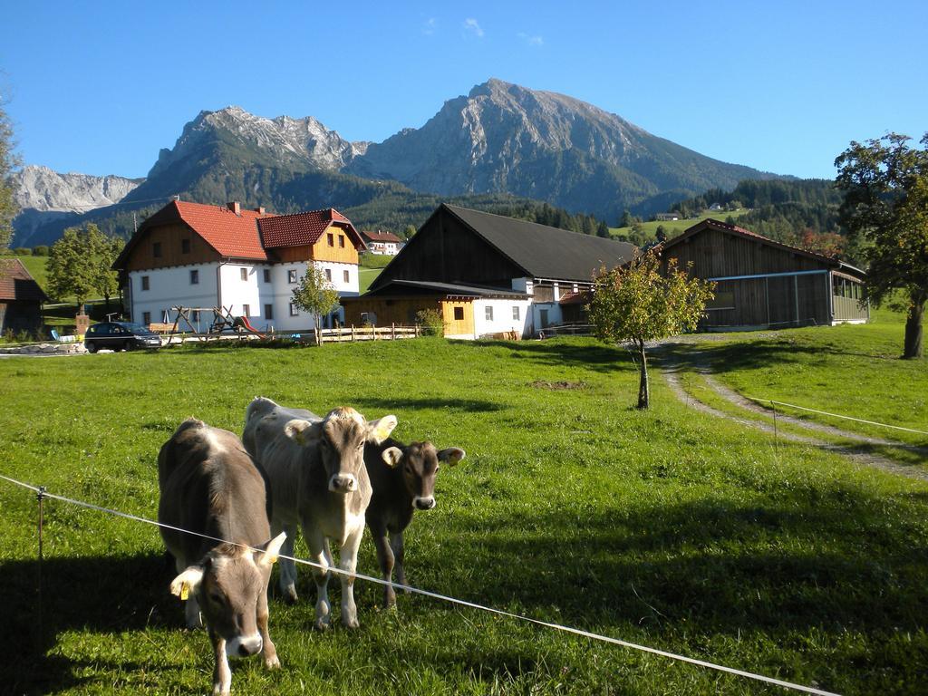 Villa Bio-Urlaubshof Dansbach Spital Am Pyhrn Exterior foto