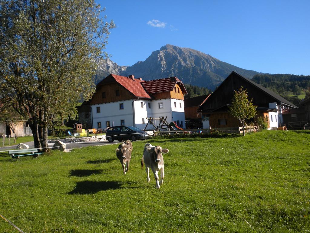 Villa Bio-Urlaubshof Dansbach Spital Am Pyhrn Exterior foto